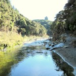 Waianakarua River 1